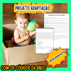PROJETO ADAPTAÇÃO/ACOLHIMENTO - Image 2